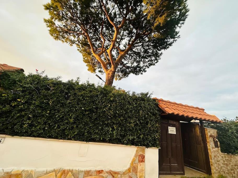 Fontana House Villa Marina di Cerveteri Bagian luar foto